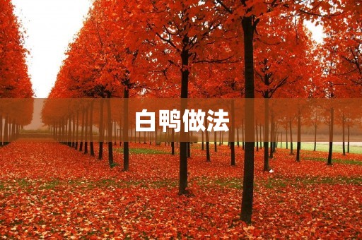白鸭做法:让你轻松制作一道美味佳肴 白鸭做法:让你轻松制作一道美味佳肴