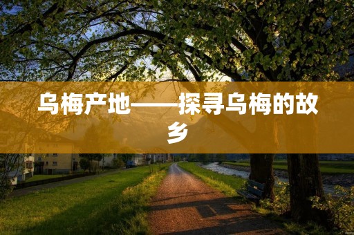 乌梅产地——探寻乌梅的故乡