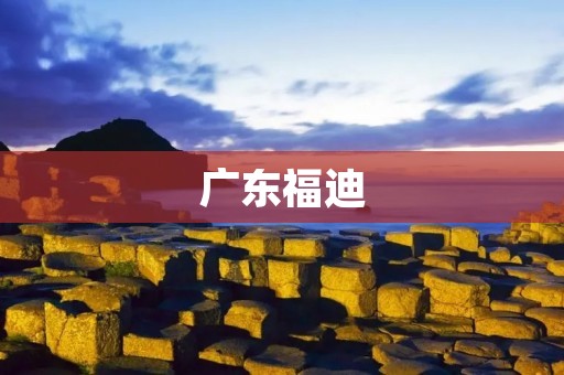 广东福迪:中国汽车领域的领军企业 广东福迪:中国汽车领域的领军企业