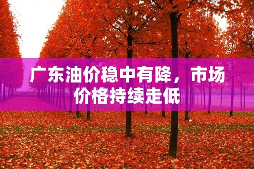 广东油价稳中有降，市场价格持续走低