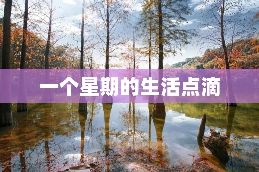 一个星期的生活点滴 一个星期的生活点滴