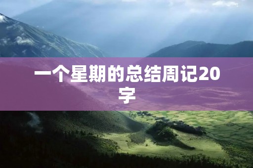一个星期的总结周记20字