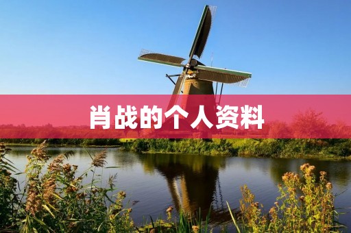 肖战的个人资料:从出生到成名的全过程