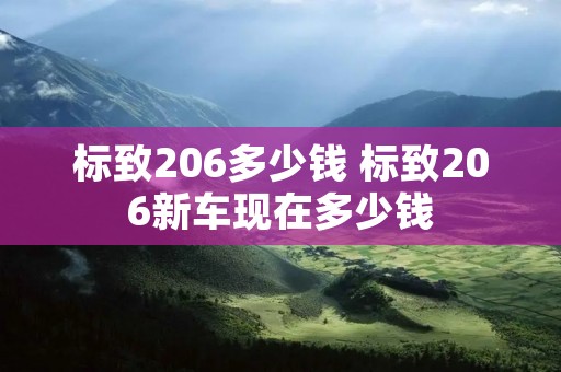 标致206多少钱 标致206新车现在多少钱 标致206多少钱 标致206新车现在多少钱
