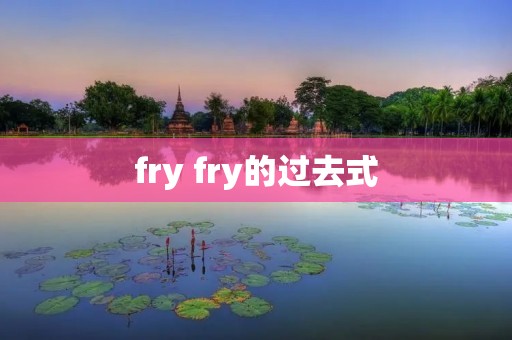 fry fry的过去式