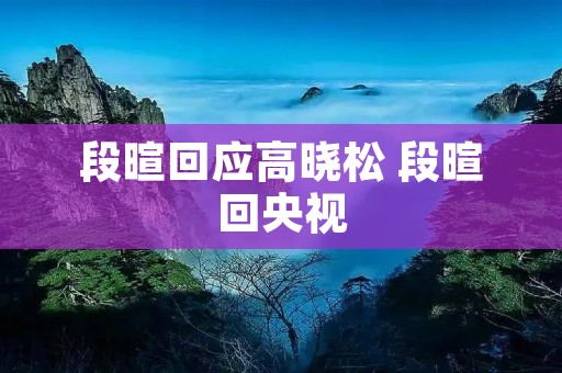 段暄回应高晓松 段暄回央视