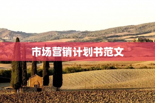 市场营销计划书范文:打造品牌形象提升销售