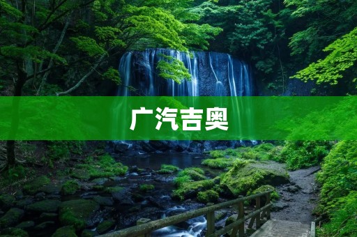 广汽吉奥:突破传统,引领未来 广汽吉奥:突破传统,引领未来