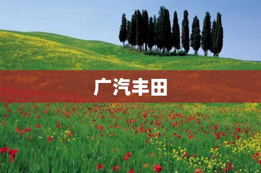 广汽丰田：打造高品质汽车的领导者