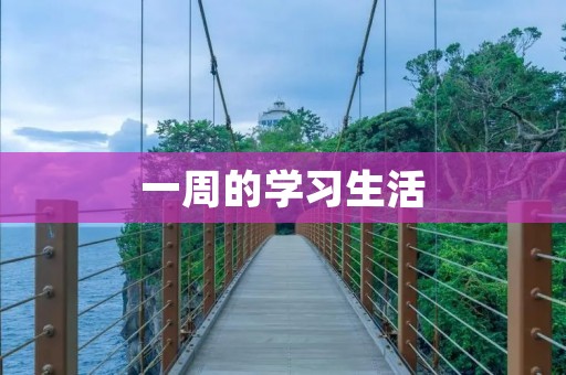 一周的学习生活 一周的学习生活