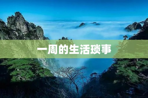 一周的生活琐事