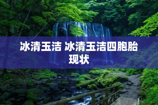 冰清玉洁 冰清玉洁四胞胎现状