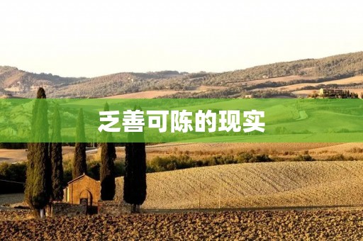 乏善可陈的现实：从教育到就业