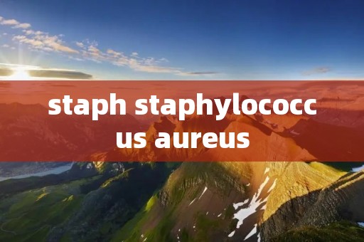 staph staphylococcus aureus