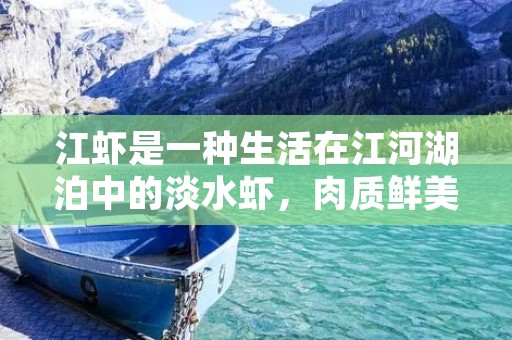 江虾是一种生活在江河湖泊中的淡水虾,肉质鲜美,营养丰富,被誉为江河湖泊的“海鲜”。在家中使用江虾做菜是一种非常不错的选择,今天就来介绍一下江虾的做法。 江虾是一种生活在江河湖泊中的淡水虾,肉质鲜美,营养丰富,被誉为江河湖泊的“海鲜”。在家中使用江虾做菜是一种非常不错的选择,今天就来介绍一下江虾的做法。