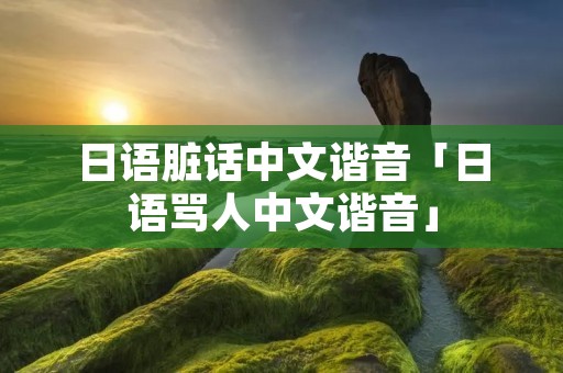 日语脏话中文谐音「日语骂人中文谐音」
