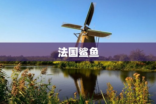 法国鲨鱼:探秘地中海的顶级掠食者 法国鲨鱼:探秘地中海的顶级掠食者