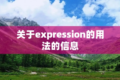 关于expression的用法的信息 关于expression的用法的信息