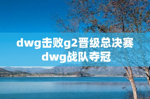 dwg击败g2晋级总决赛 dwg战队夺冠 dwg击败g2晋级总决赛 dwg战队夺冠