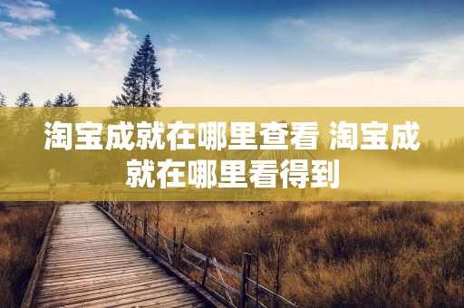 淘宝成就在哪里查看 淘宝成就在哪里看得到