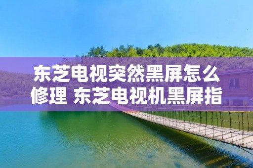 东芝电视突然黑屏怎么修理 东芝电视机黑屏指示灯亮着该如何解决问题