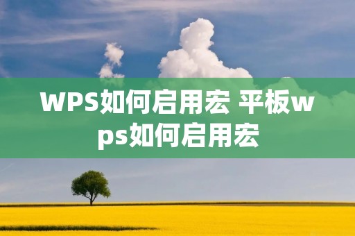 WPS如何启用宏 平板wps如何启用宏