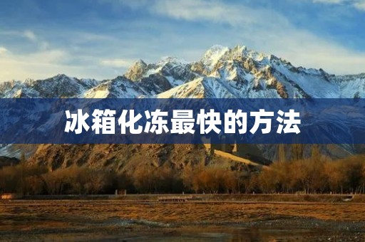 冰箱化冻最快的方法：让你的食材快速恢复活力