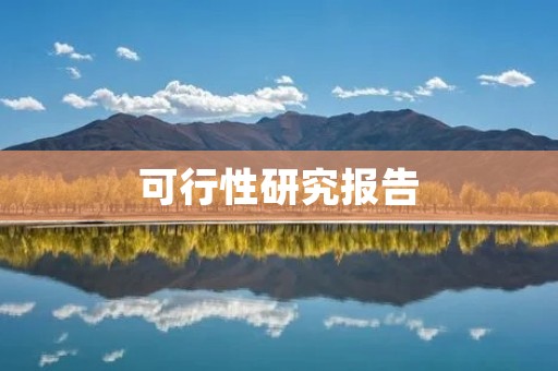 可行性研究报告:某项目投资分析