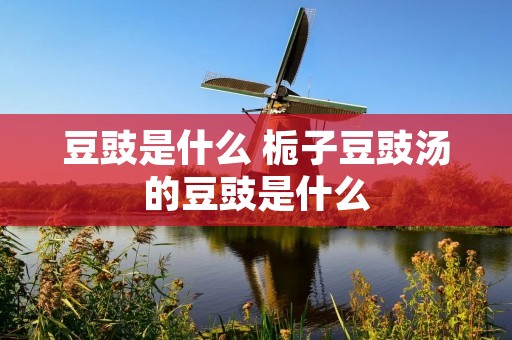 豆豉是什么 栀子豆豉汤的豆豉是什么