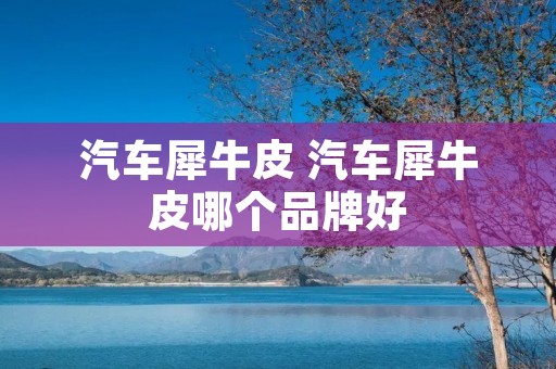 汽车犀牛皮 汽车犀牛皮哪个品牌好 汽车犀牛皮 汽车犀牛皮哪个品牌好