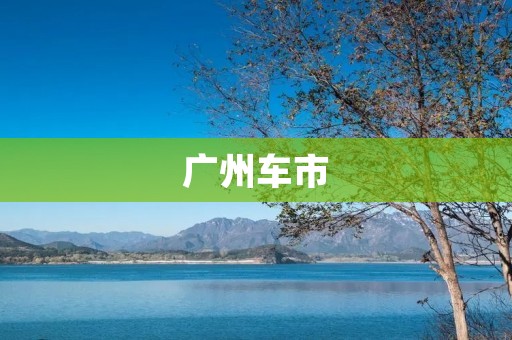 广州车市：走向新时代