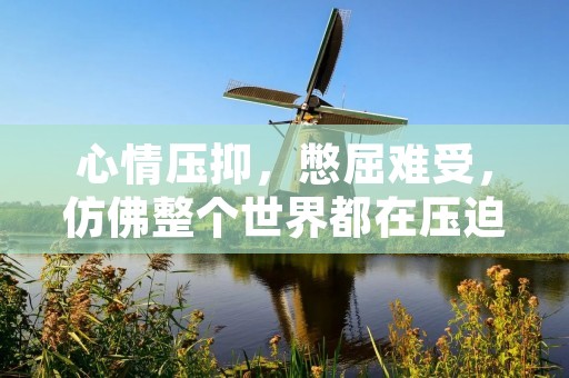心情压抑,憋屈难受,仿佛整个世界都在压迫着自己,让自己喘不过气来。这种感觉真的很难受,就像是被一股无形的力量束缚着,无论如何都无法挣脱。