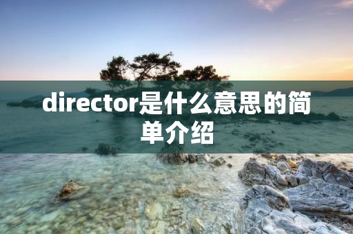 director是什么意思的简单介绍