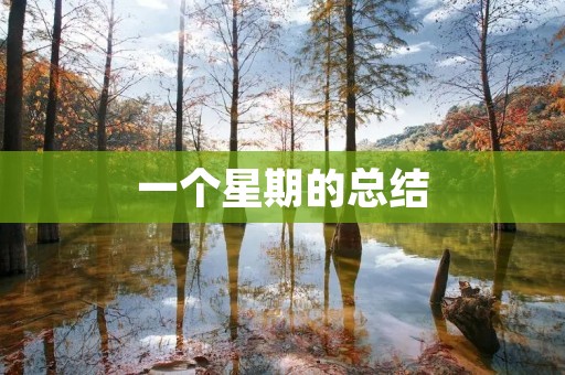 一个星期的总结：高中周记