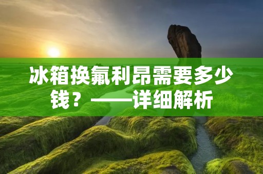冰箱换氟利昂需要多少钱？——详细解析