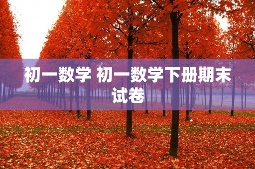 初一数学 初一数学下册期末试卷