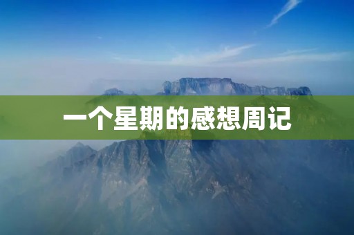 一个星期的感想周记