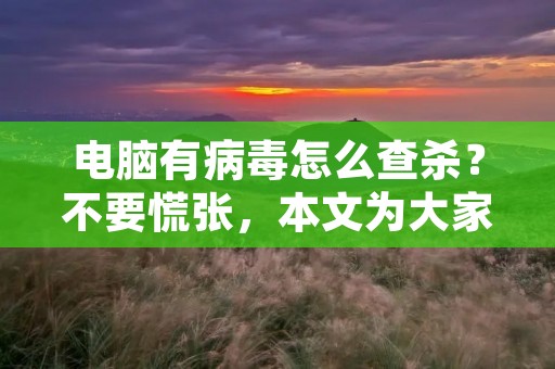 电脑有病毒怎么查杀?不要慌张,本文为大家介绍几种常见的查杀病毒的方法,帮助您摆脱电脑病毒的困扰。 电脑有病毒怎么查杀?不要慌张,本文为大家介绍几种常见的查杀病毒的方法,帮助您摆脱电脑病毒的困扰。