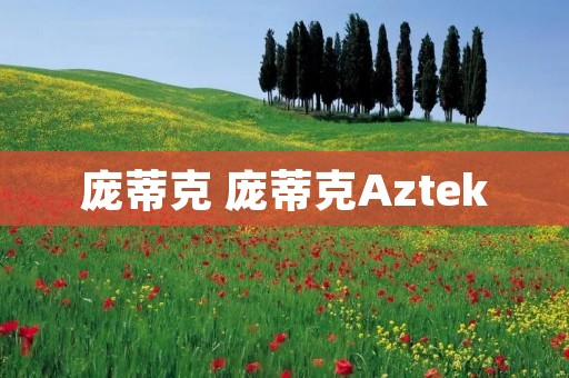 庞蒂克 庞蒂克Aztek