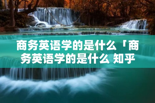 商务英语学的是什么「商务英语学的是什么 知乎」 商务英语学的是什么「商务英语学的是什么 知乎」