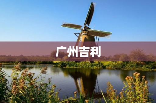 广州吉利:中国汽车行业的领头羊 广州吉利:中国汽车行业的领头羊
