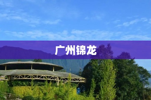 广州锦龙:一座现代化城市新地标 广州锦龙:一座现代化城市新地标