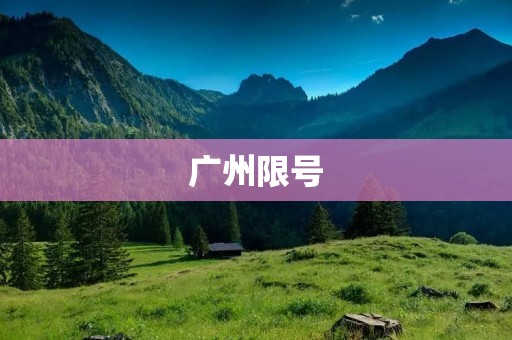 广州限号：限制车辆通行，缓解城市交通压力