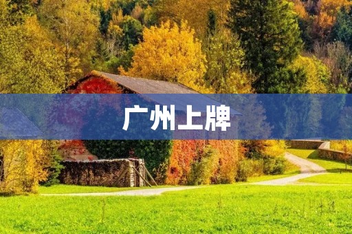 广州上牌:详解广州车辆上牌流程及注意事项 广州上牌:详解广州车辆上牌流程及注意事项