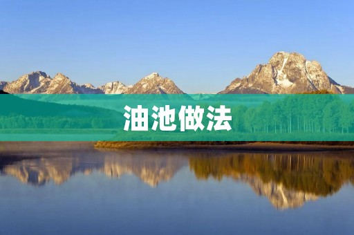 油池做法：如何打造一个高效、安全的油池