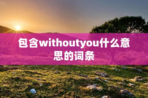 包含withoutyou什么意思的词条