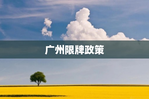 广州限牌政策:影响与解决方案 广州限牌政策:影响与解决方案