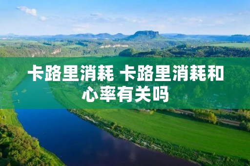 卡路里消耗 卡路里消耗和心率有关吗