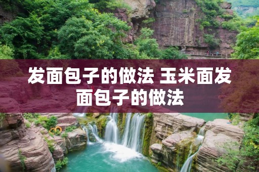 发面包子的做法 玉米面发面包子的做法