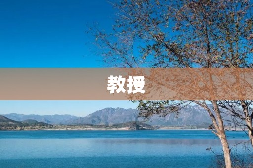 教授:学术领域的权威